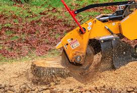 Best Emergency Tree Removal  in Homeland, GA